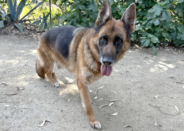 Quincy