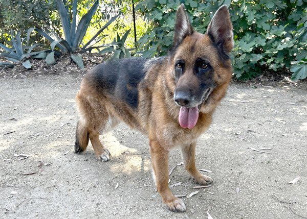 Quincy