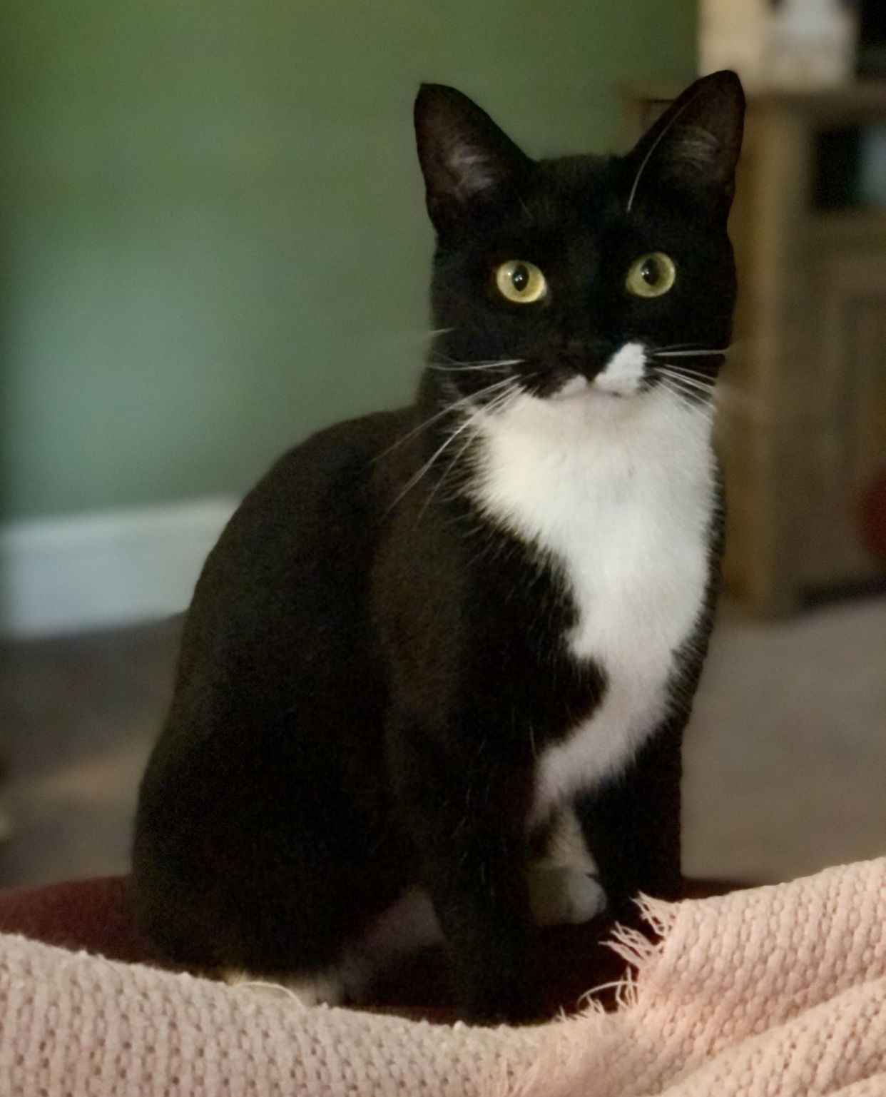 Maggie