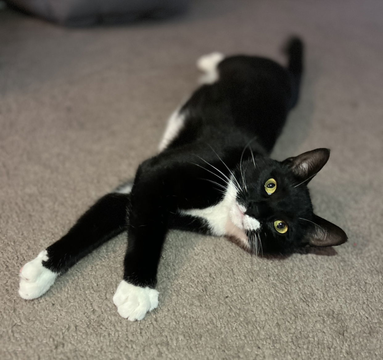Maggie