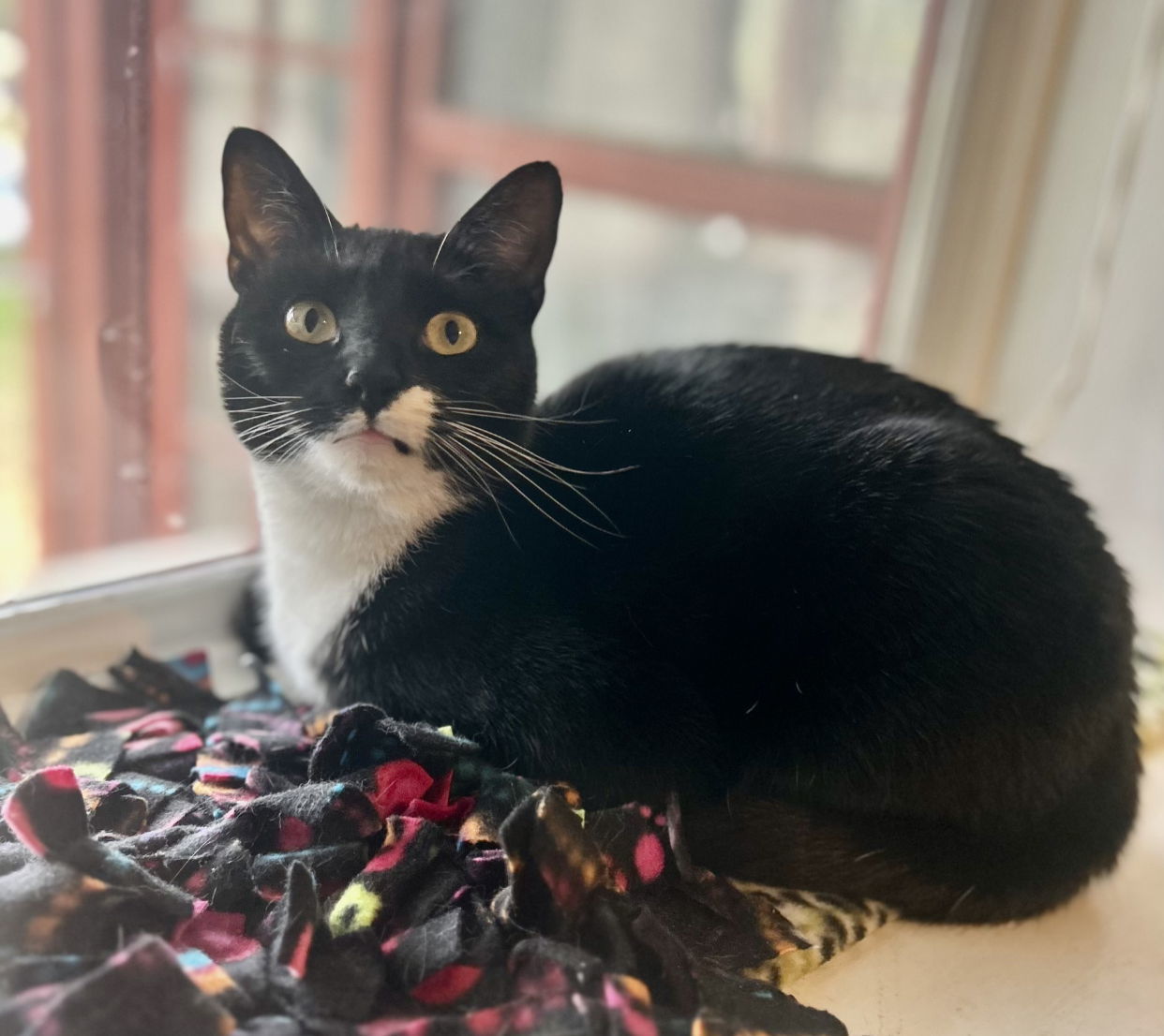 Maggie