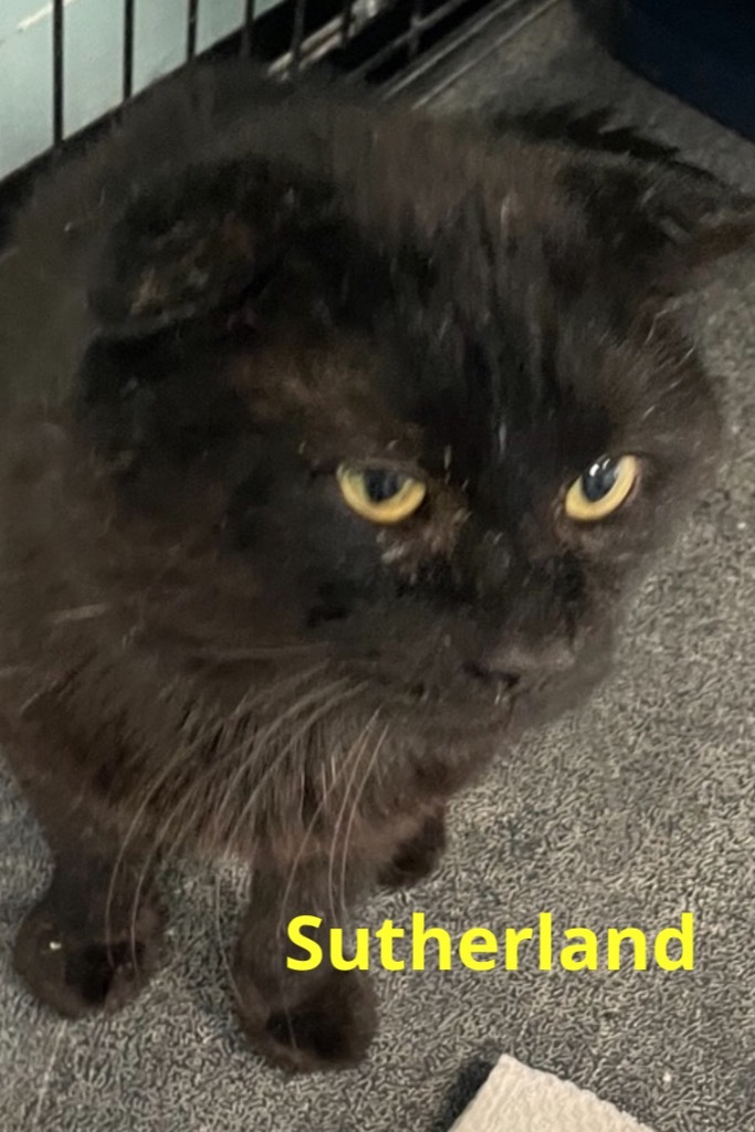 SUTHERLAND
