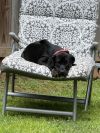Bindi (Layla Little&#39;s) photo 1