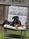Bindi (Layla Little&#39;s) photo 3