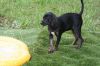 Bindi (Layla Little&#39;s) photo 4