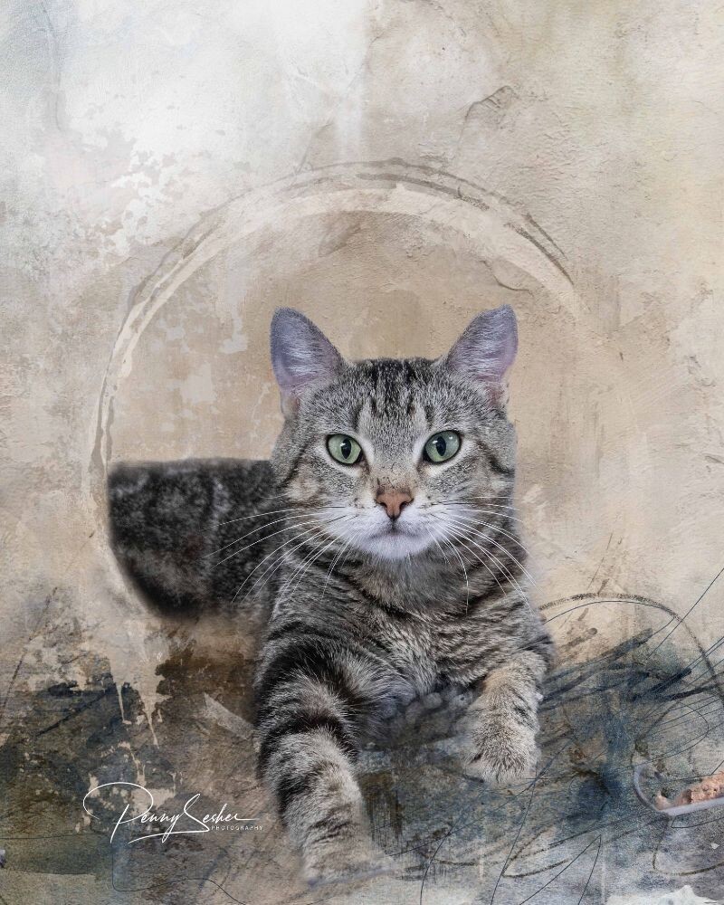 Titan
