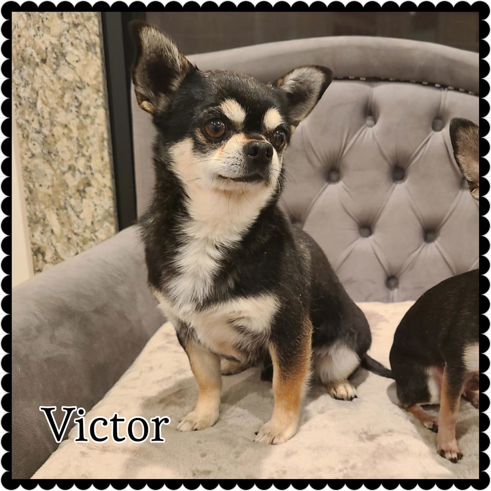 Victor