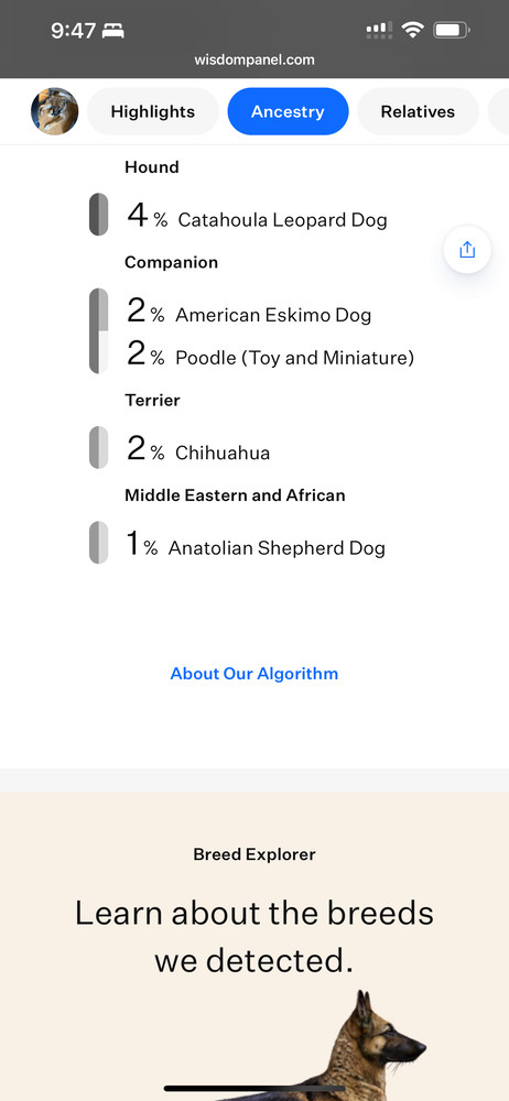 Willow from the East Side