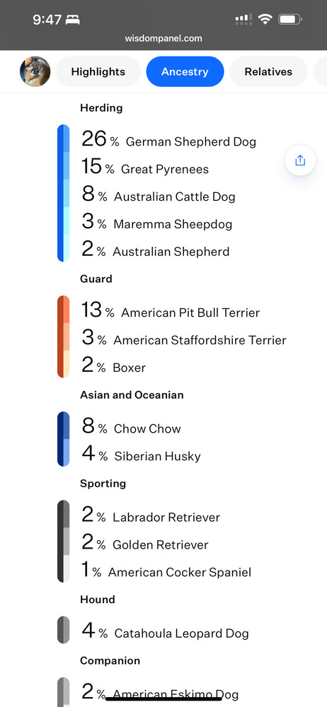 Willow from the East Side