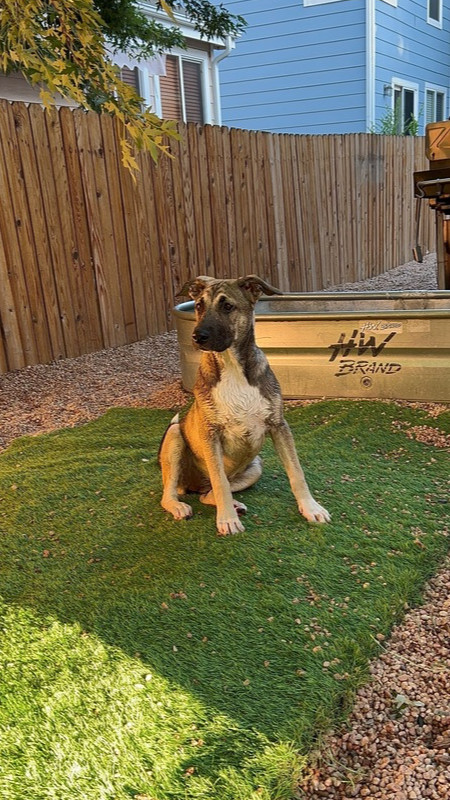 Spicy from the East Side