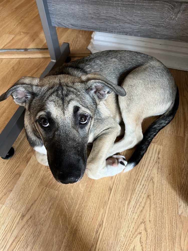 Spicy from the East Side