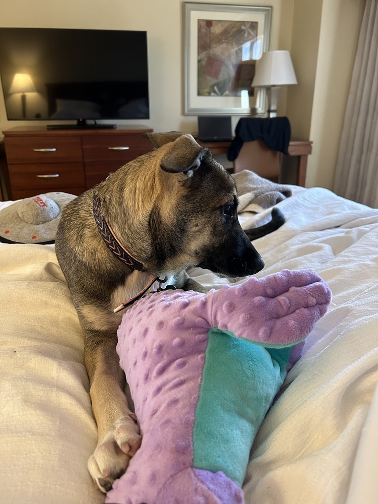 Spicy from the East Side