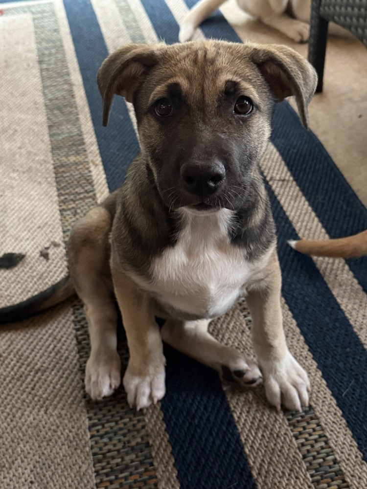 Spicy from the East Side