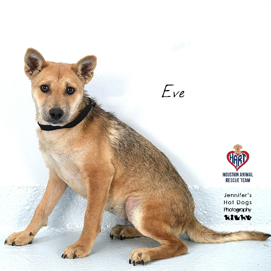 Eve
