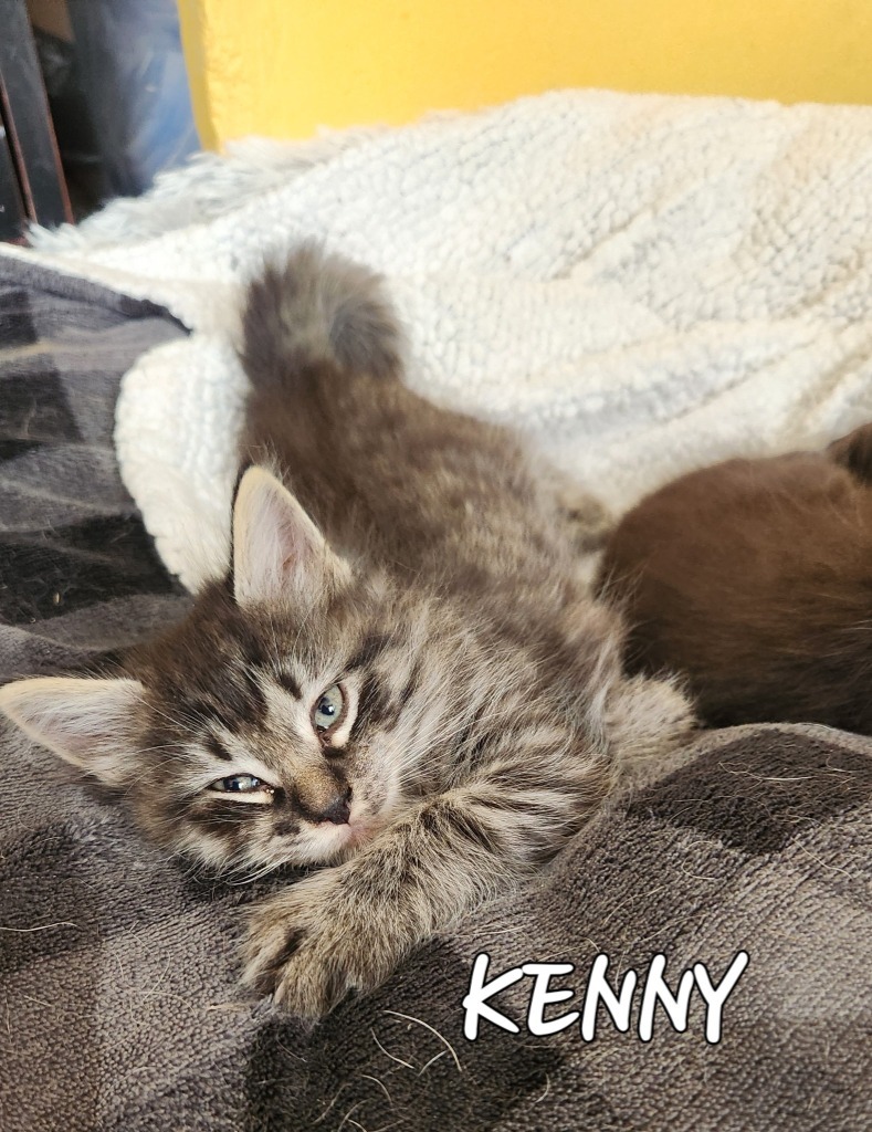 Kenny