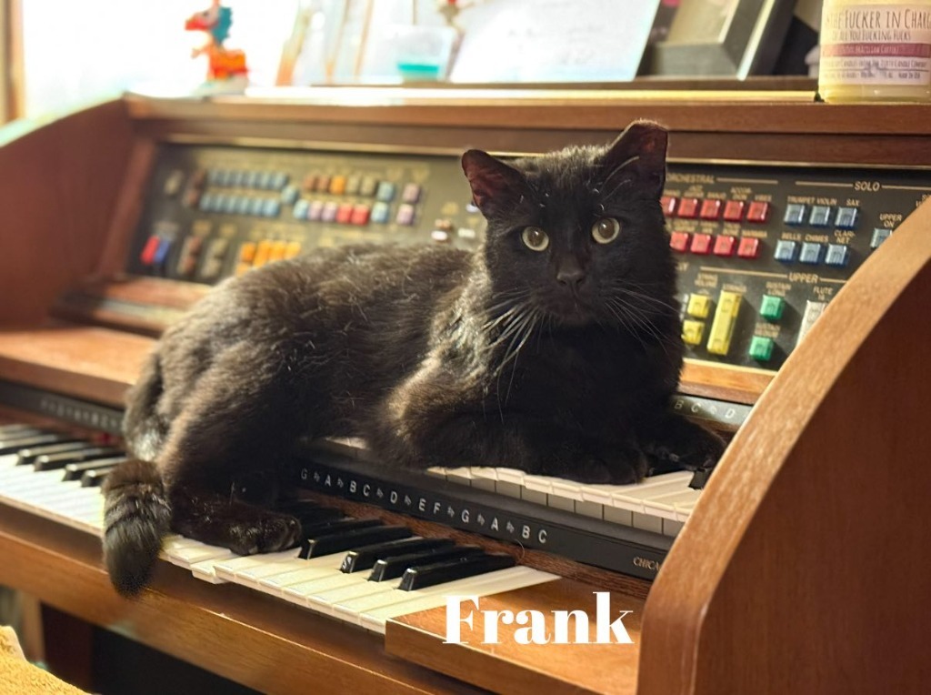 Frank