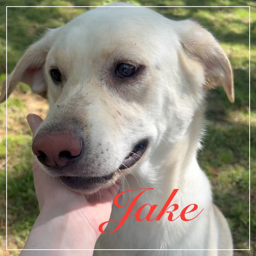 Jake