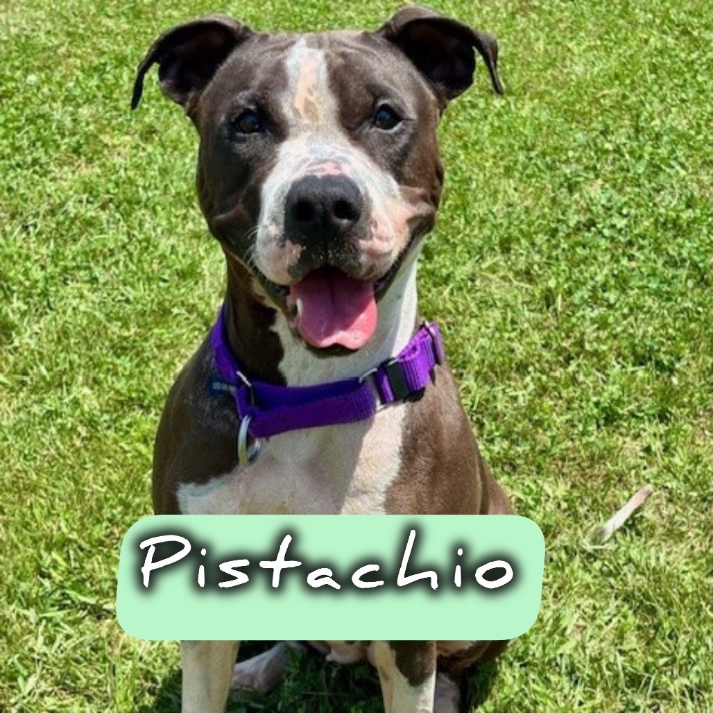 Pistachio