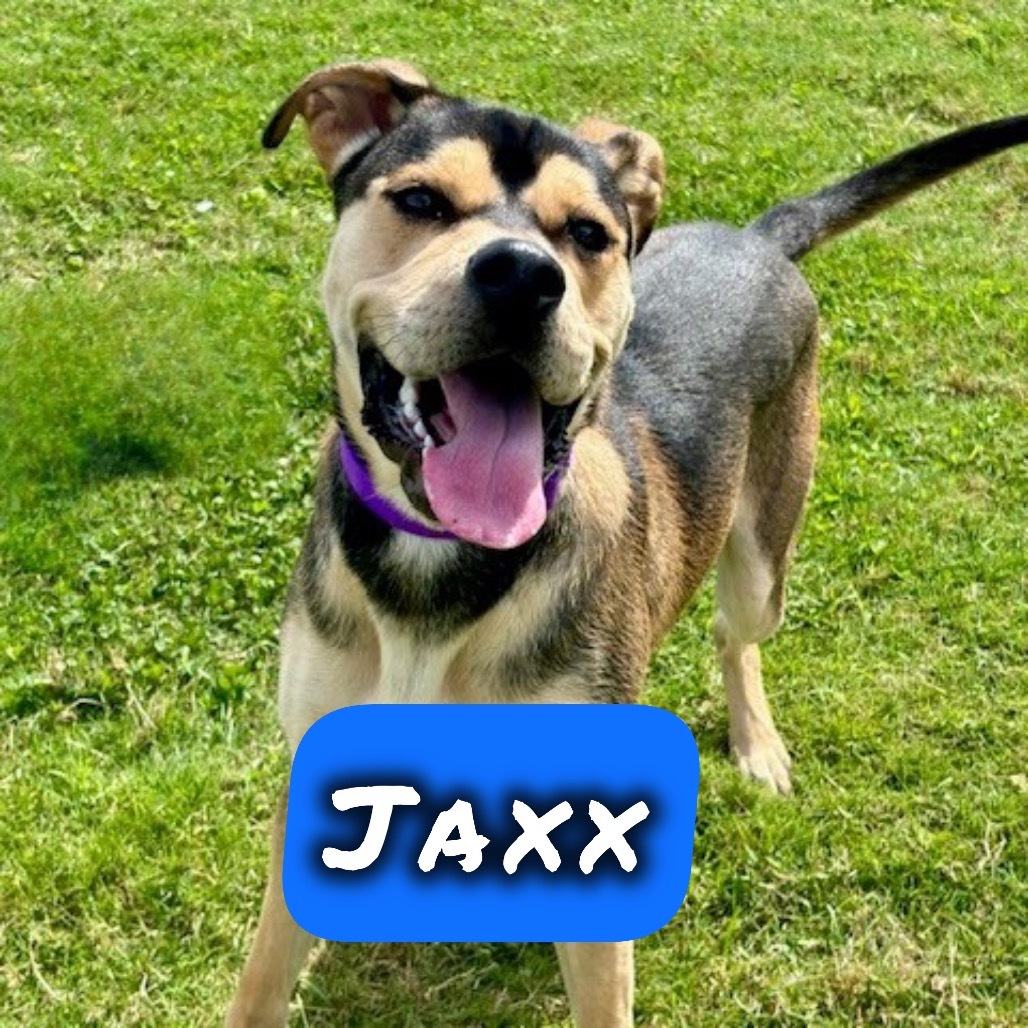Jaxx