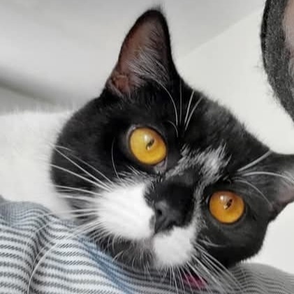 Gracie