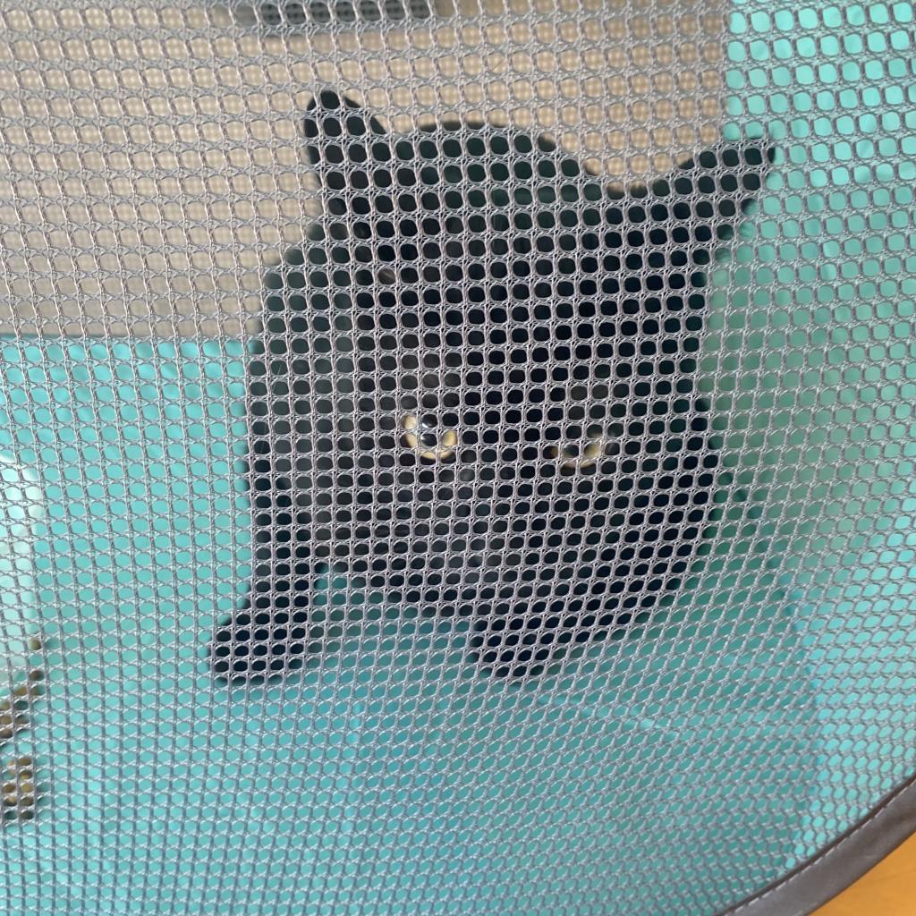 Nacho