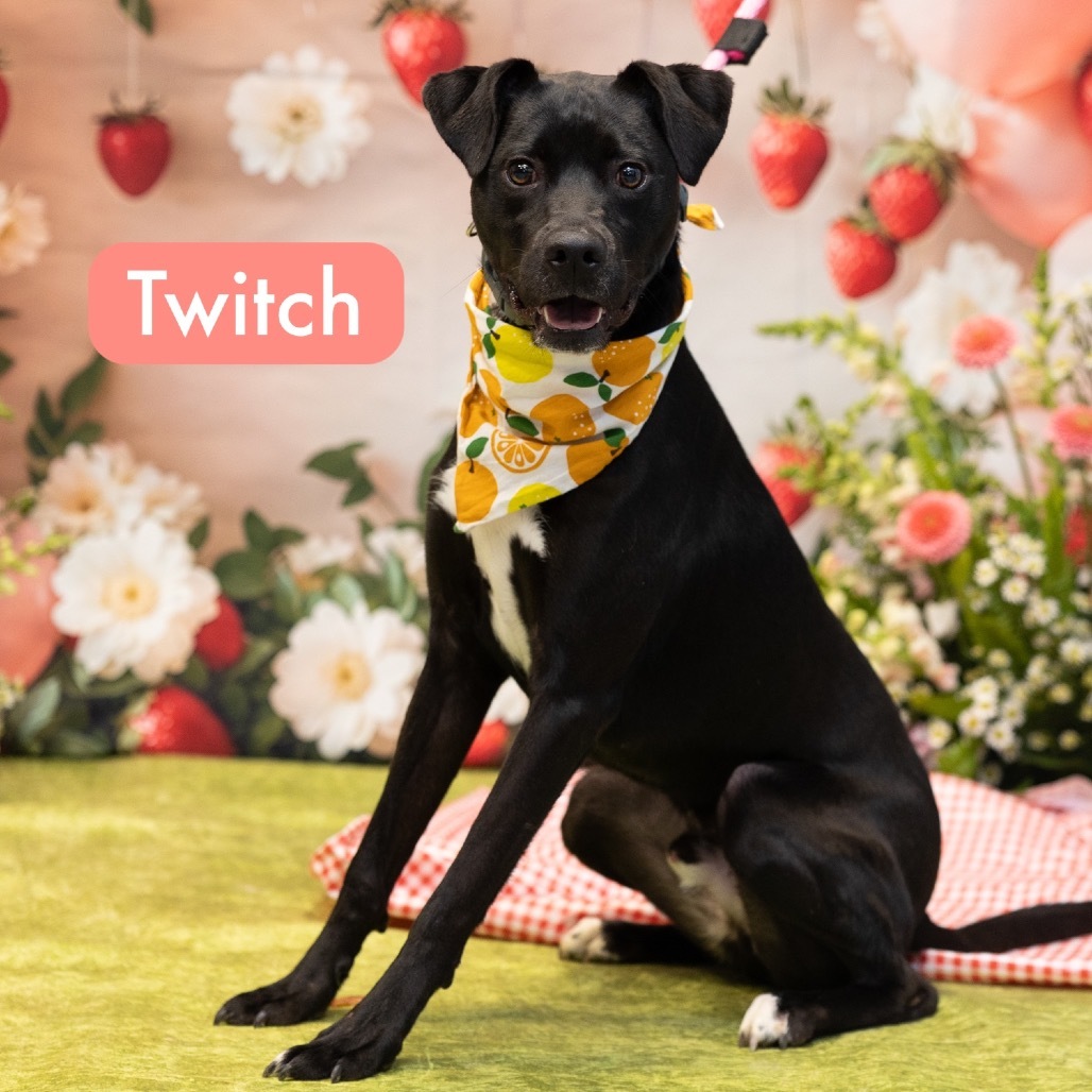 Twitch
