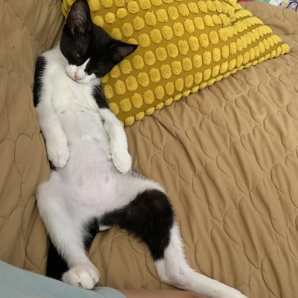 Felipe