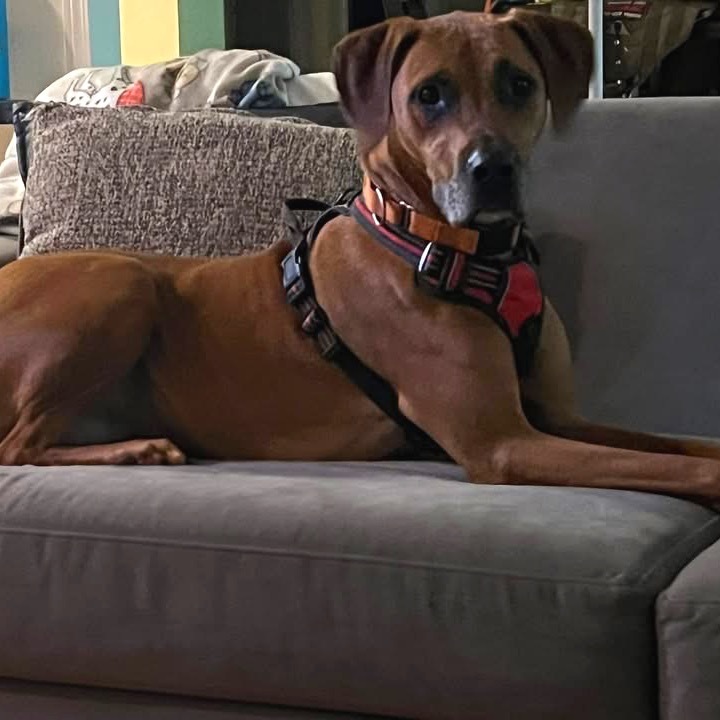 Gus