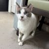Felix photo 1