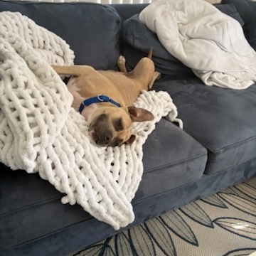 Zoey 4