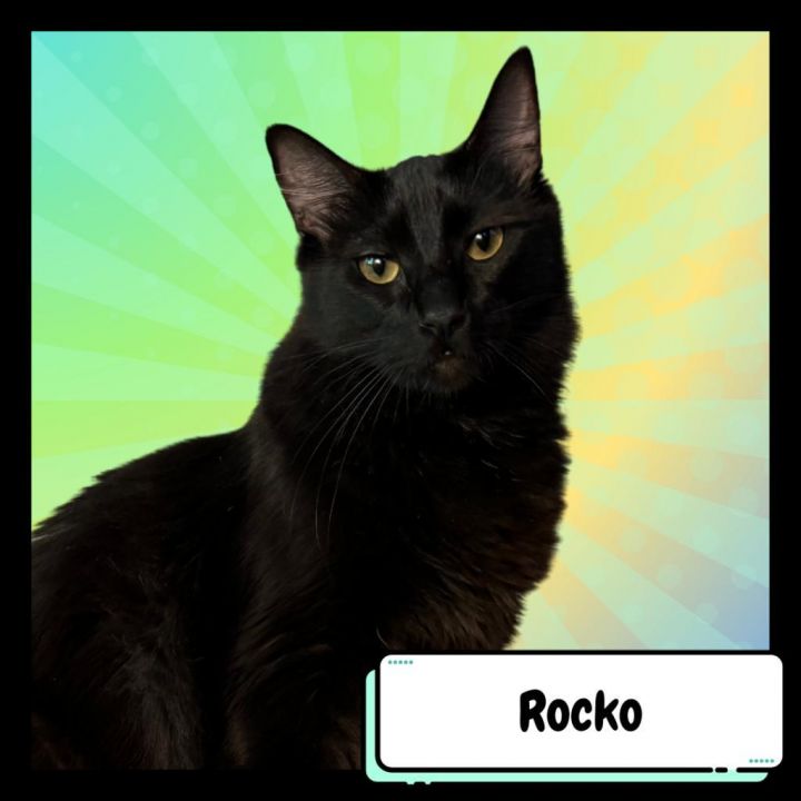Rocko & Filbert 2