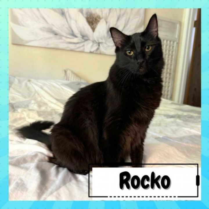 Rocko & Filbert 3