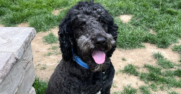 Dudley