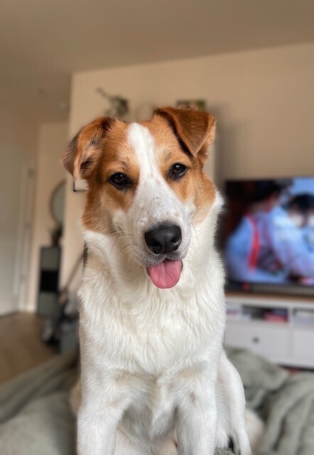 Penelope (aka Penny) 1