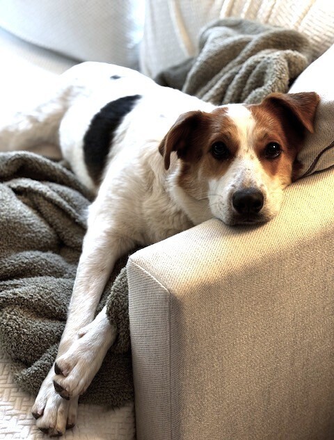 Penelope (aka Penny) 3