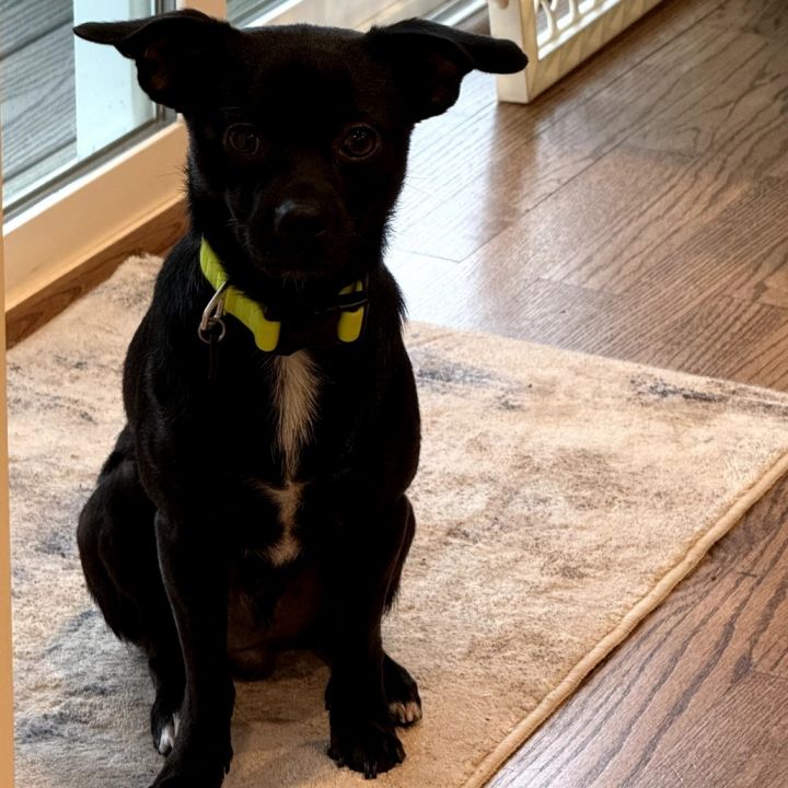 Bruce 4