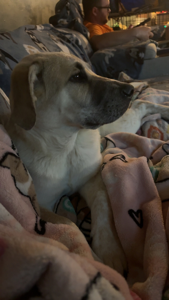 Bonnie 5