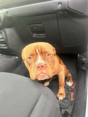 Eugene