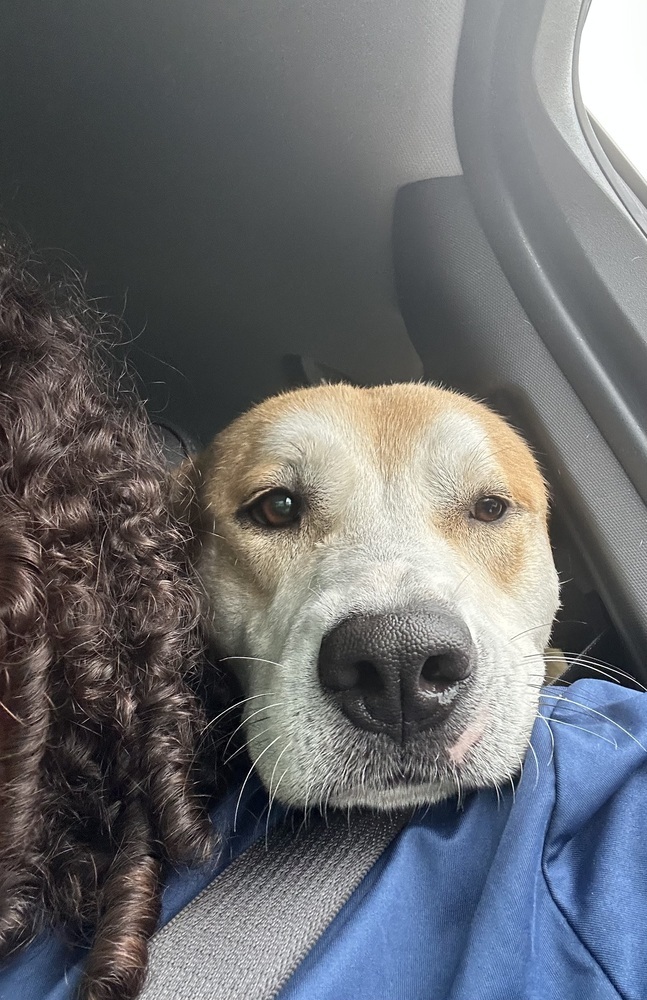 Amaretto