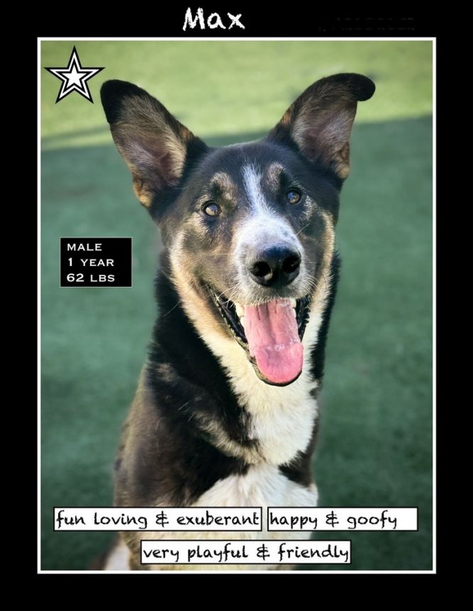 Max