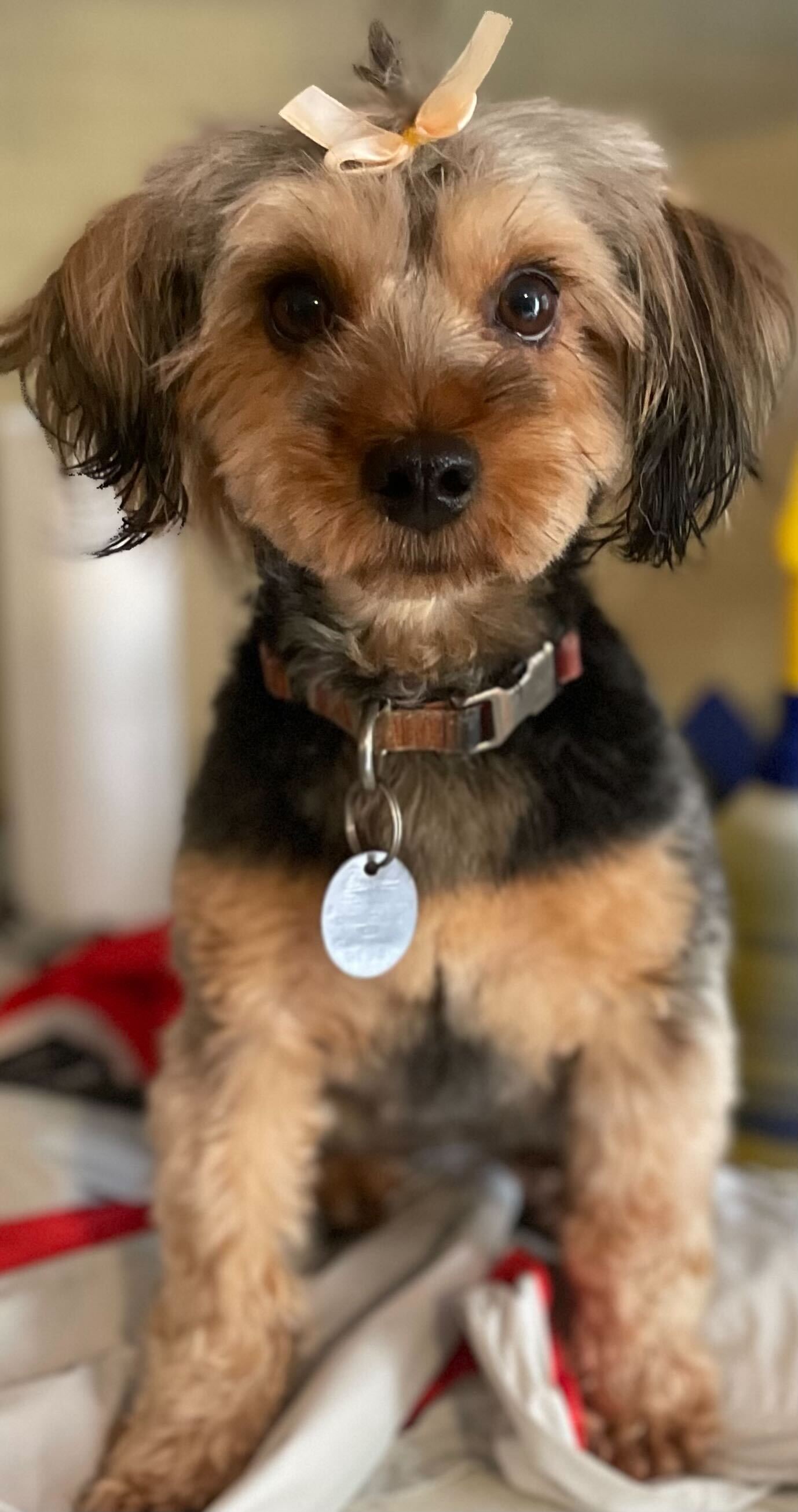 Snickers Apr 25 - On Reserve Until 5/28