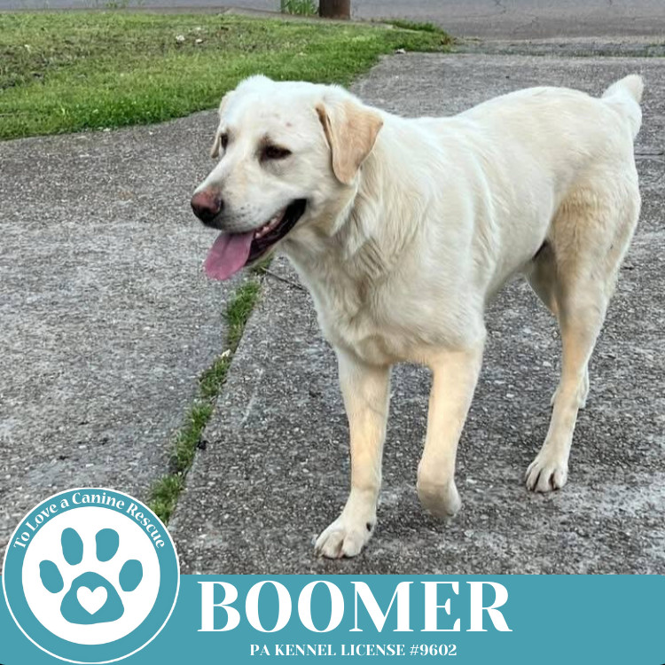 Boomer 050325