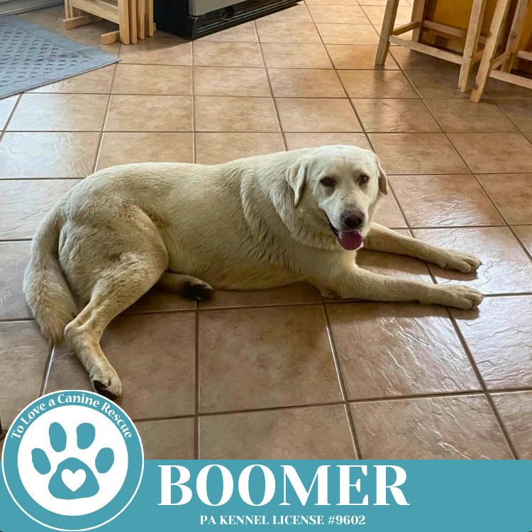 Boomer 050325