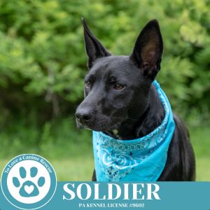 Soldier 050325