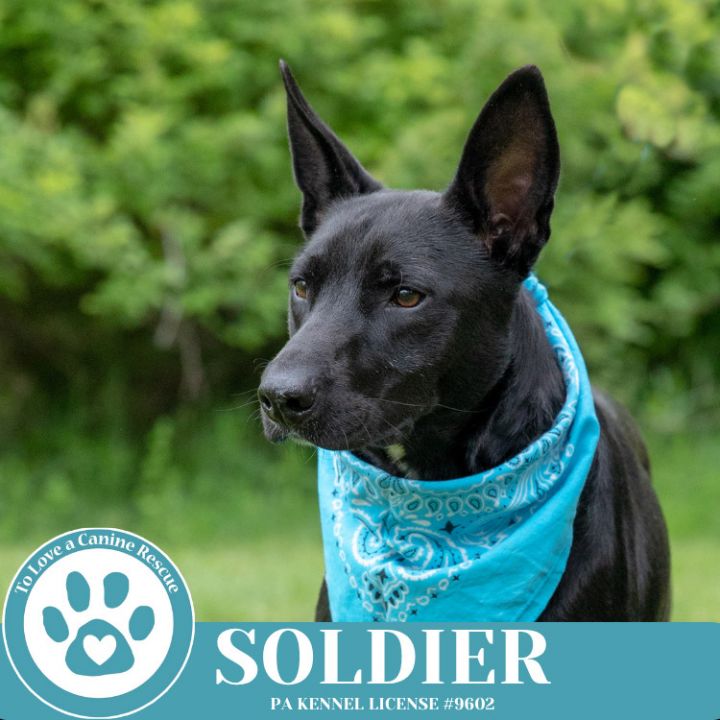 Soldier 050325 1