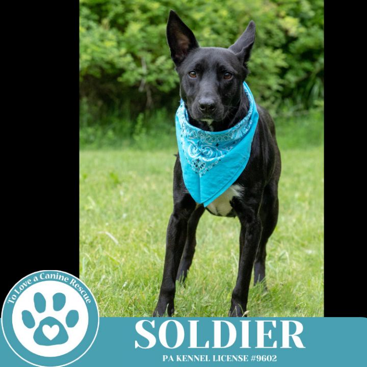 Soldier 050325 2