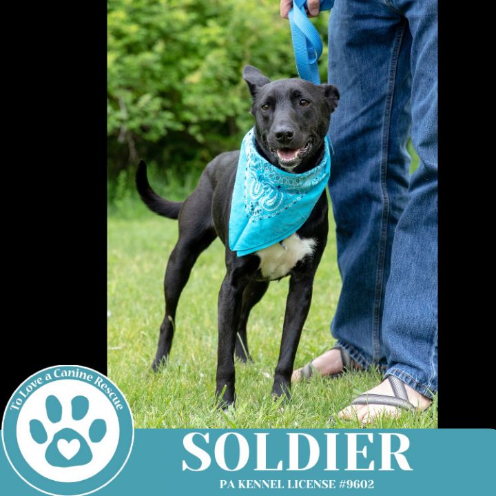 Soldier 050325 3