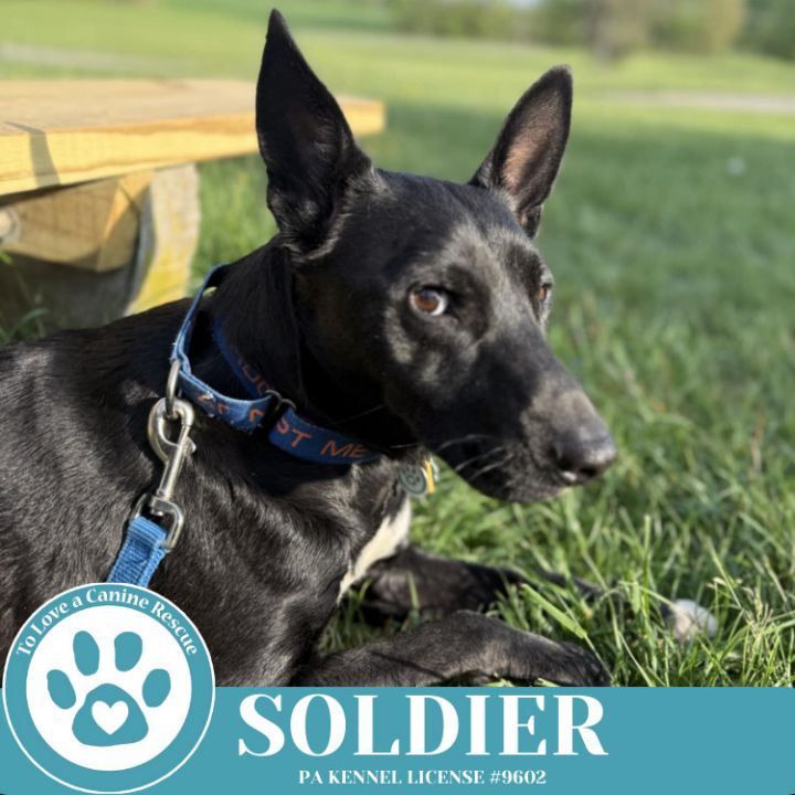 Soldier 050325 4