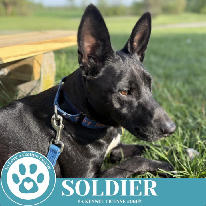 Soldier 050325 5