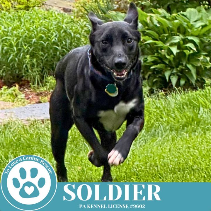 Soldier 050325 6